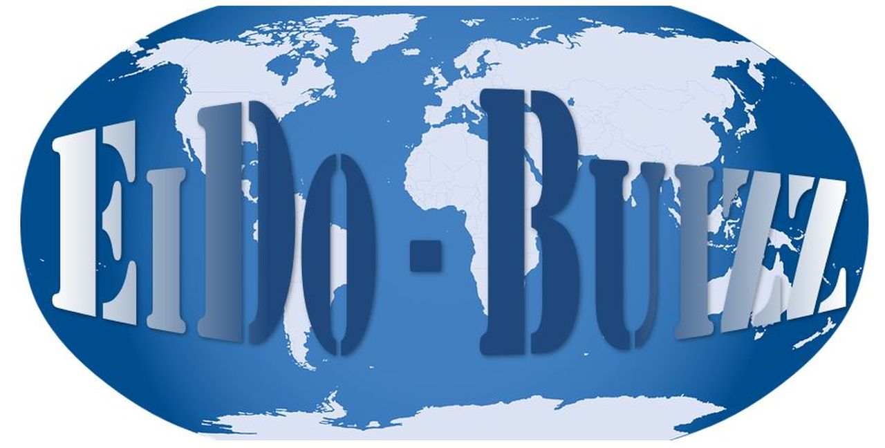 logo eido-buizz wereldbol in blauwgrijs